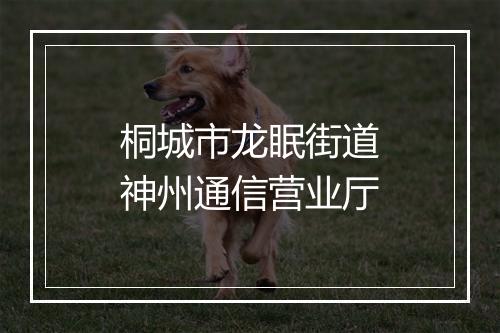 桐城市龙眠街道神州通信营业厅