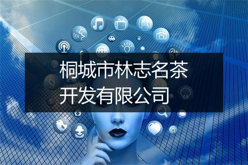 桐城市林志名茶开发有限公司
