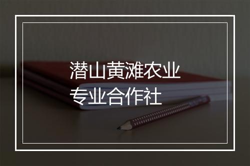 潜山黄滩农业专业合作社