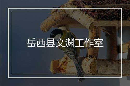 岳西县文渊工作室