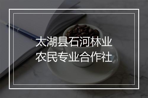 太湖县石河林业农民专业合作社