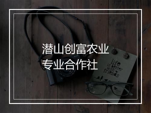 潜山创富农业专业合作社