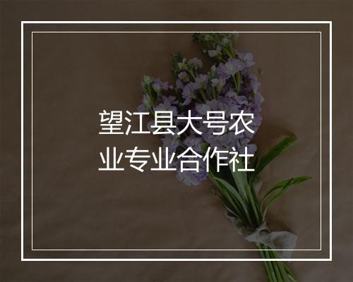 望江县大号农业专业合作社