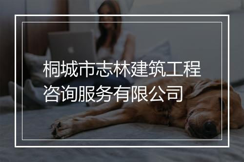 桐城市志林建筑工程咨询服务有限公司