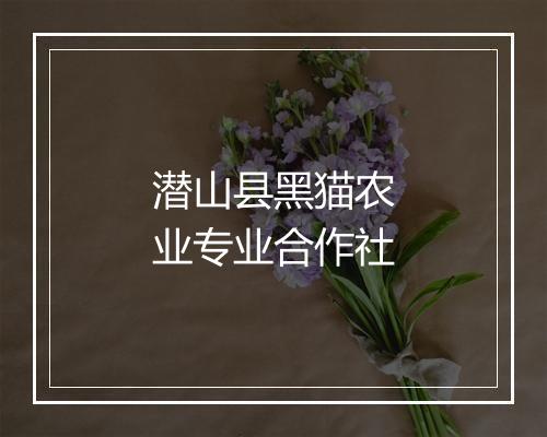 潜山县黑猫农业专业合作社