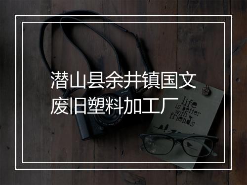 潜山县余井镇国文废旧塑料加工厂