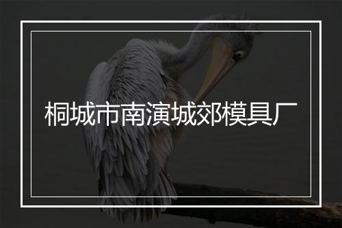 桐城市南演城郊模具厂