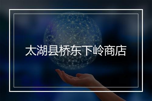 太湖县桥东下岭商店