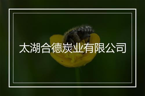 太湖合德炭业有限公司