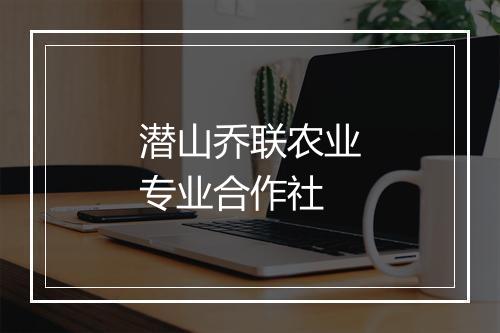 潜山乔联农业专业合作社