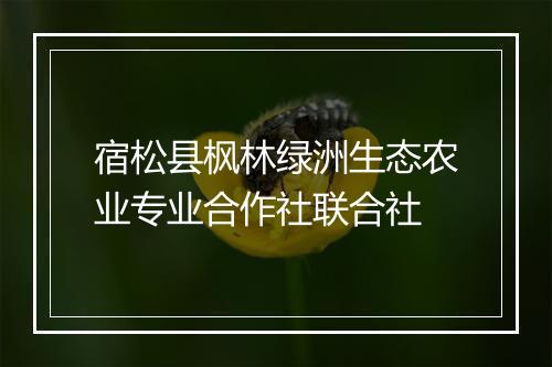 宿松县枫林绿洲生态农业专业合作社联合社