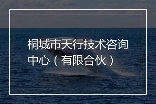 桐城市天行技术咨询中心（有限合伙）