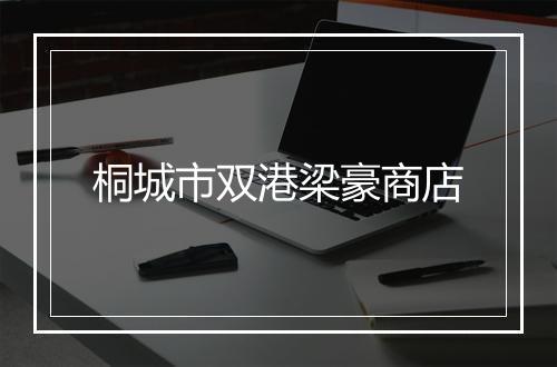 桐城市双港梁豪商店