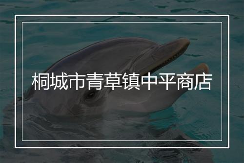 桐城市青草镇中平商店