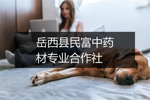 岳西县民富中药材专业合作社