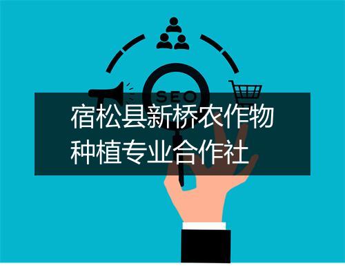 宿松县新桥农作物种植专业合作社