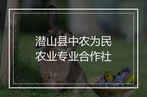 潜山县中农为民农业专业合作社