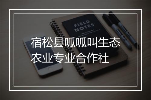 宿松县呱呱叫生态农业专业合作社