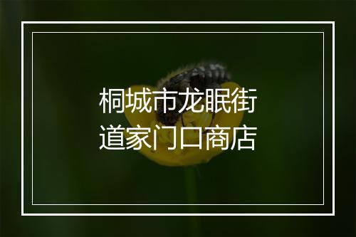 桐城市龙眠街道家门口商店