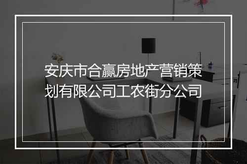 安庆市合赢房地产营销策划有限公司工农街分公司