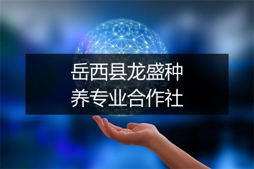 岳西县龙盛种养专业合作社