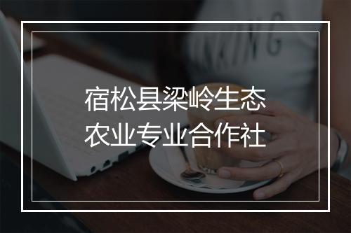 宿松县梁岭生态农业专业合作社