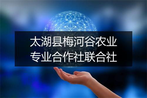 太湖县梅河谷农业专业合作社联合社