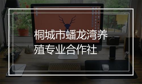 桐城市蟠龙湾养殖专业合作社