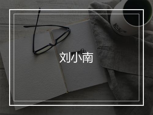 刘小南