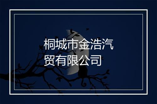 桐城市金浩汽贸有限公司