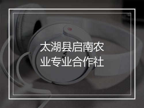 太湖县启南农业专业合作社
