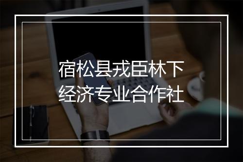 宿松县戎臣林下经济专业合作社