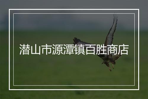 潜山市源潭镇百胜商店