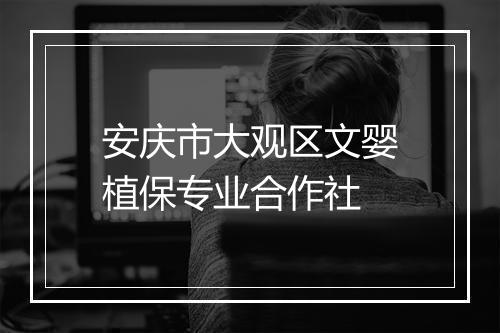 安庆市大观区文婴植保专业合作社