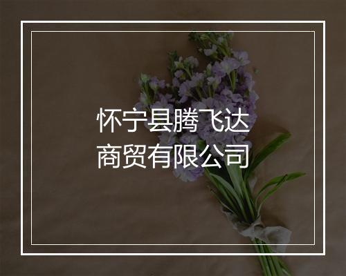 怀宁县腾飞达商贸有限公司