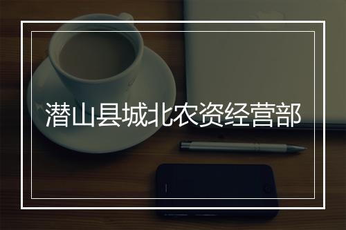 潜山县城北农资经营部