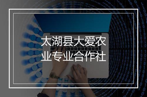 太湖县大爱农业专业合作社