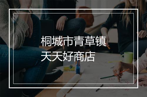 桐城市青草镇天天好商店