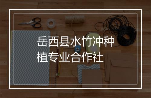 岳西县水竹冲种植专业合作社