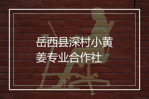 岳西县深村小黄姜专业合作社