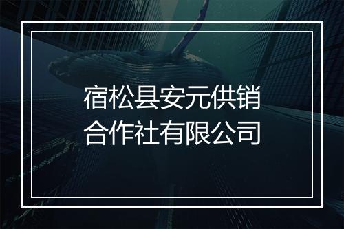 宿松县安元供销合作社有限公司