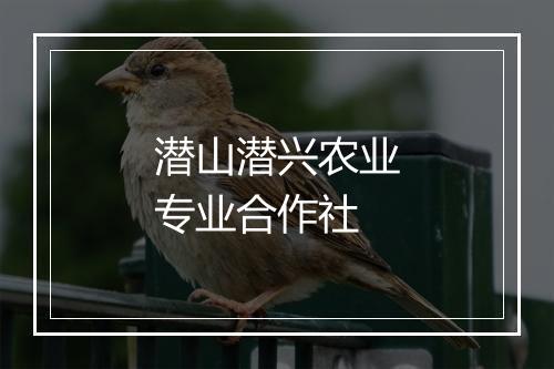 潜山潜兴农业专业合作社