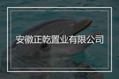 安徽正乾置业有限公司