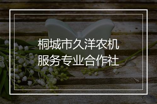 桐城市久洋农机服务专业合作社