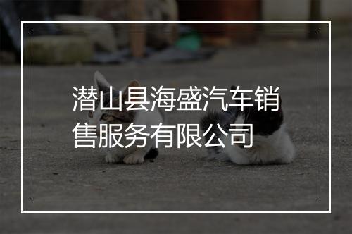 潜山县海盛汽车销售服务有限公司