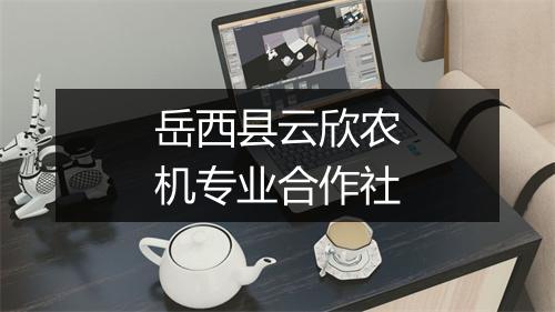 岳西县云欣农机专业合作社