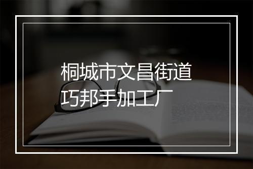 桐城市文昌街道巧邦手加工厂