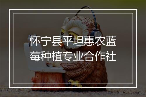 怀宁县平坦惠农蓝莓种植专业合作社