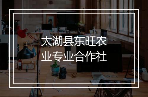 太湖县东旺农业专业合作社