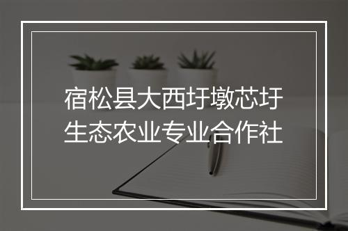 宿松县大西圩墩芯圩生态农业专业合作社